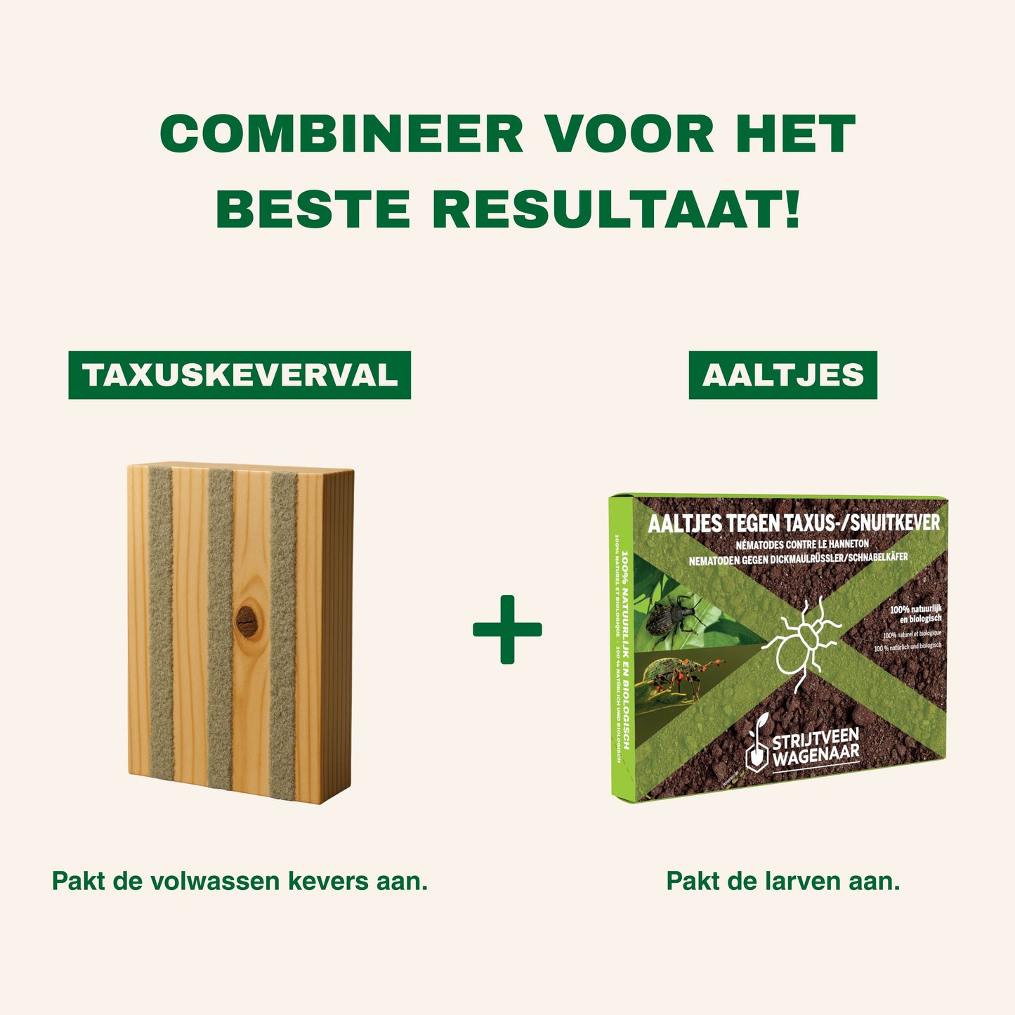 Strijtveen & Wagenaar Taxuskeverval