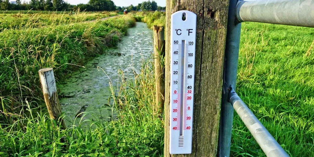 Bij welke temperatuur kan ik aaltjes gebruiken?
