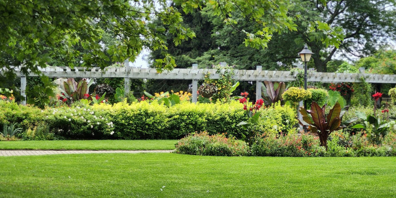 Chemische bestrijding taxuskever