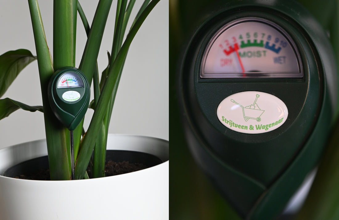 hygrometer voor kamer planten 