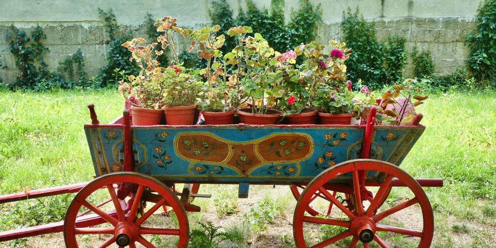 mier plantenbak