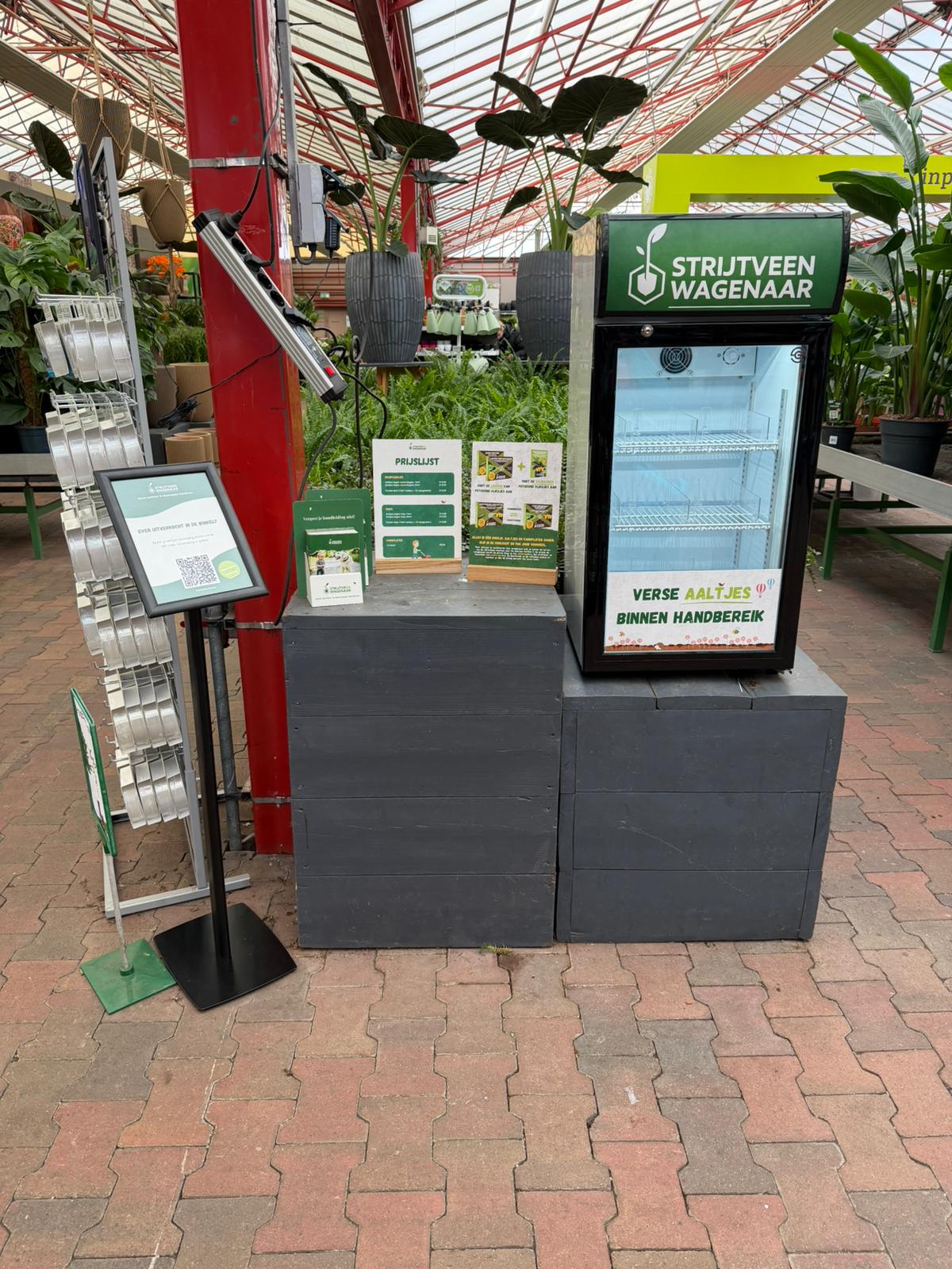 aaltjes in de winkel