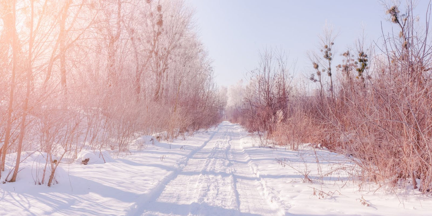 Kun je trips bestrijden met aaltjes in de winter?