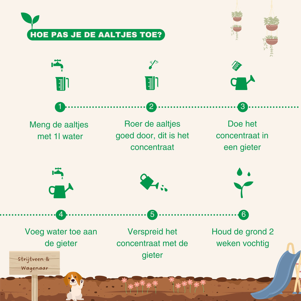 
                      
                        Aaltjes tegen Slakken
                      
                    