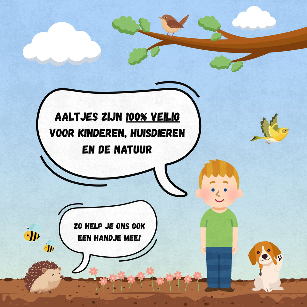 
                      
                        Aaltjes tegen Emelten
                      
                    