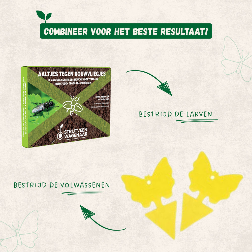 
                      
                        Aaltjes tegen Rouwvliegjes
                      
                    