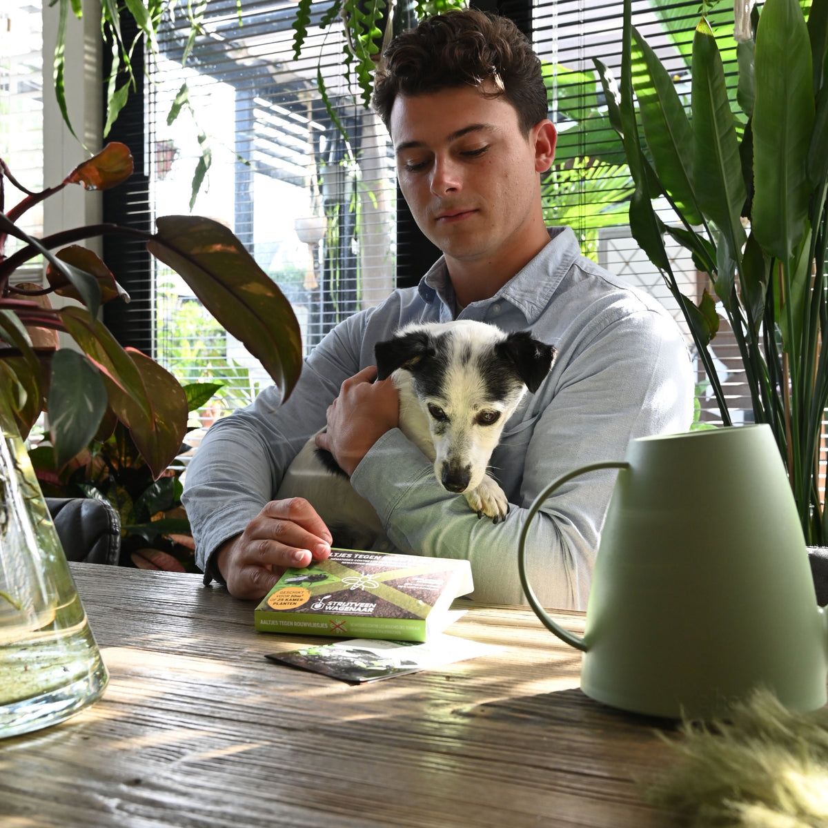 Aaltjes Tegen Ongedierte