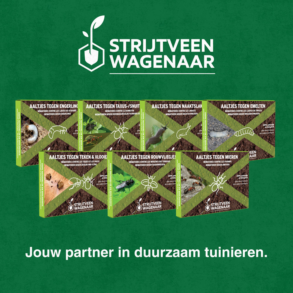 
                      
                        Aaltjes tegen Engerlingen
                      
                    