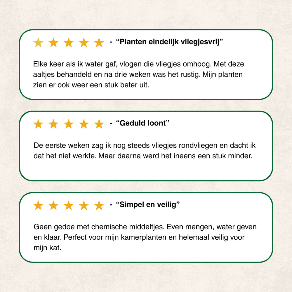 
                      
                        Aaltjes tegen Rouwvliegjes
                      
                    