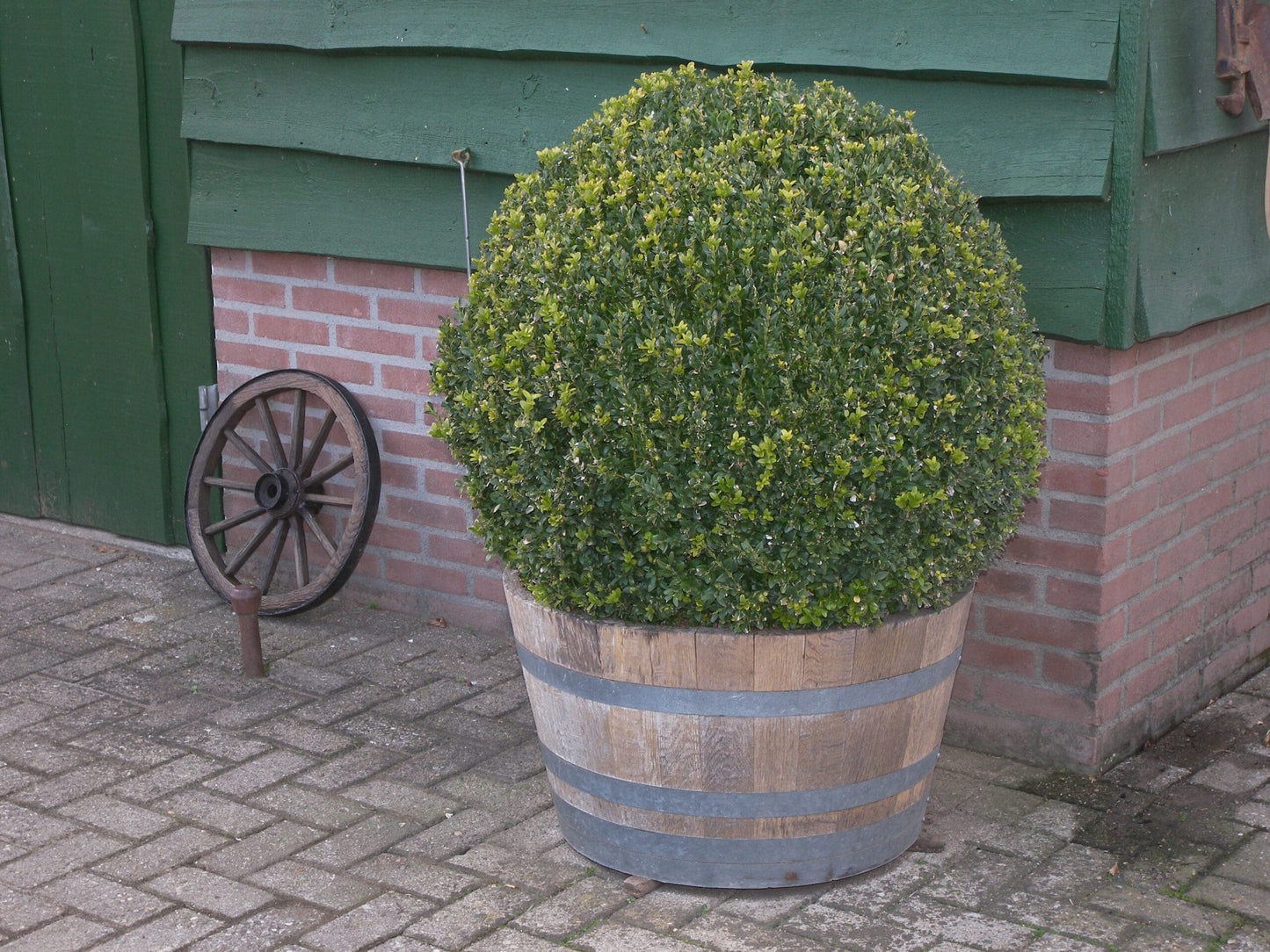 Plantenbak 47×69 cm