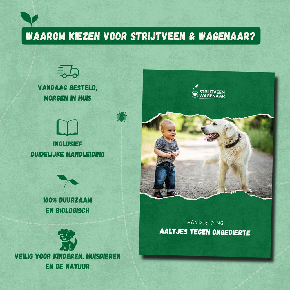 
                      
                        Aaltjes tegen Rouwvliegjes
                      
                    