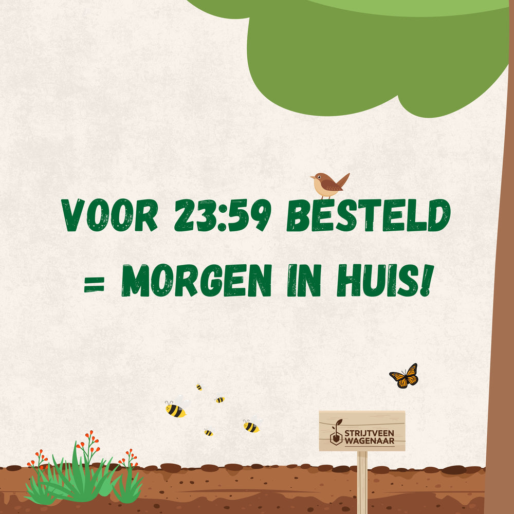 
                      
                        Aaltjes tegen Emelten
                      
                    