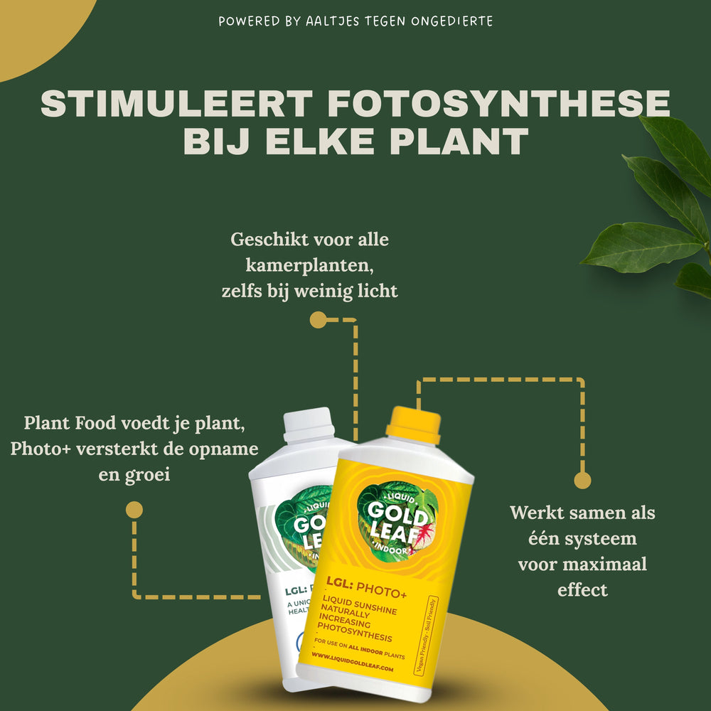 
                      
                        Liquid Gold Leaf Plant Food+ Liquid Gold Leaf Photo+ (2x 250ml)
                      
                    