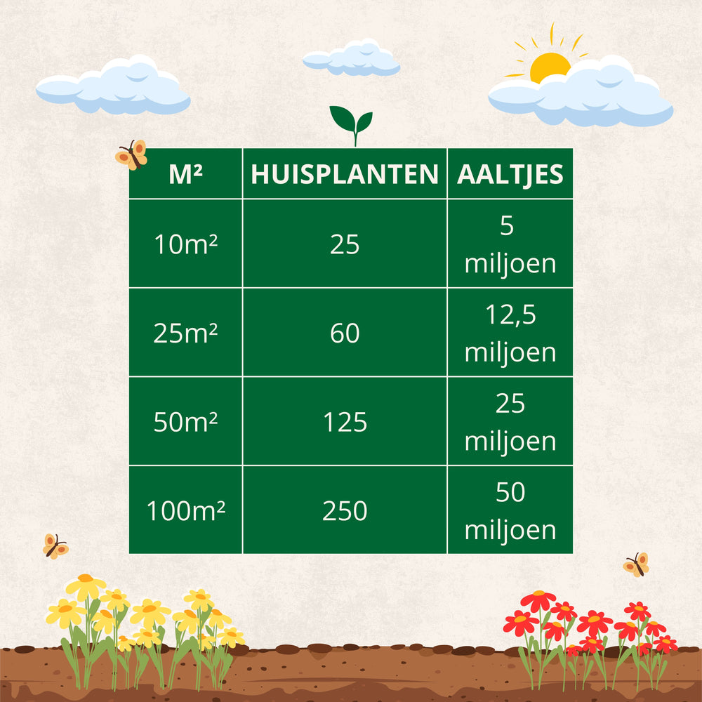 
                      
                        Aaltjes tegen Rouwvliegjes
                      
                    