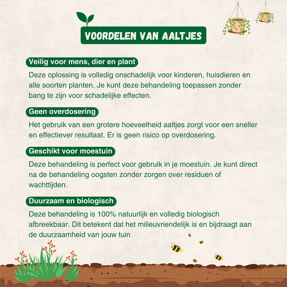 
                      
                        Aaltjes tegen Rouwvliegjes
                      
                    