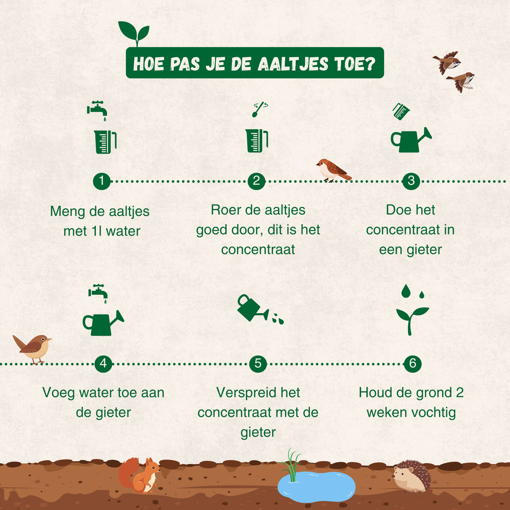 
                      
                        Aaltjes tegen Mieren
                      
                    