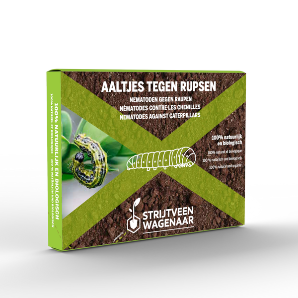 Aaltjes tegen Rupsen