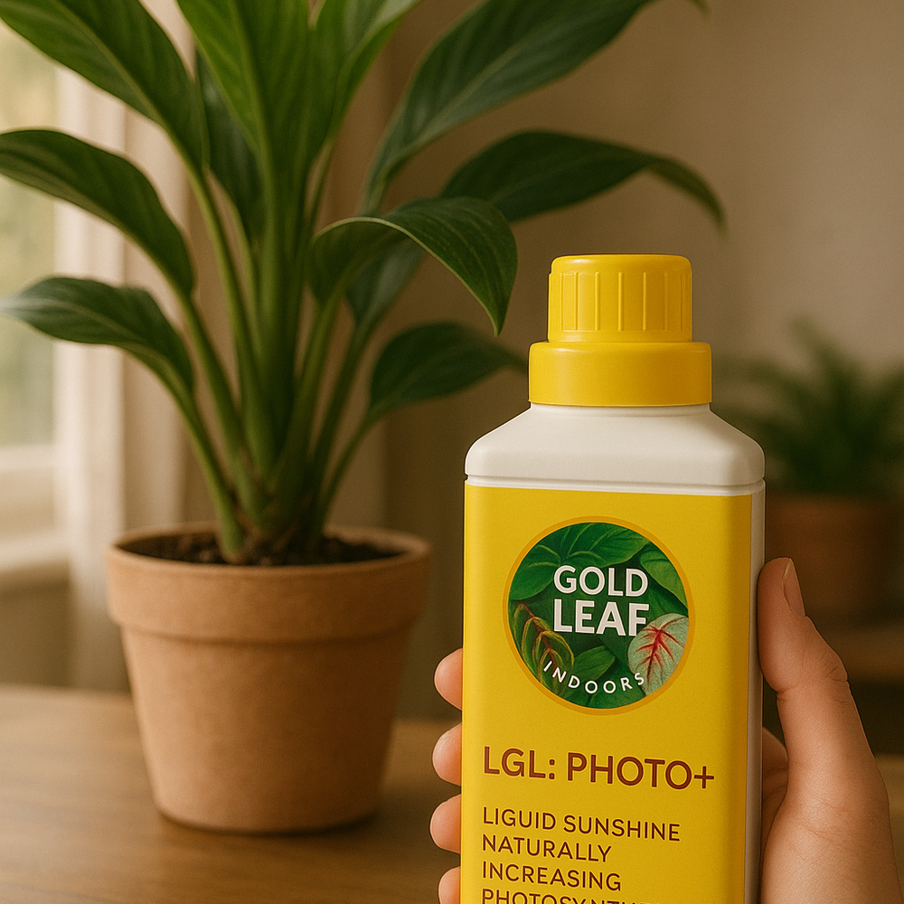 Liquid Gold Leaf Photo+ 250ml