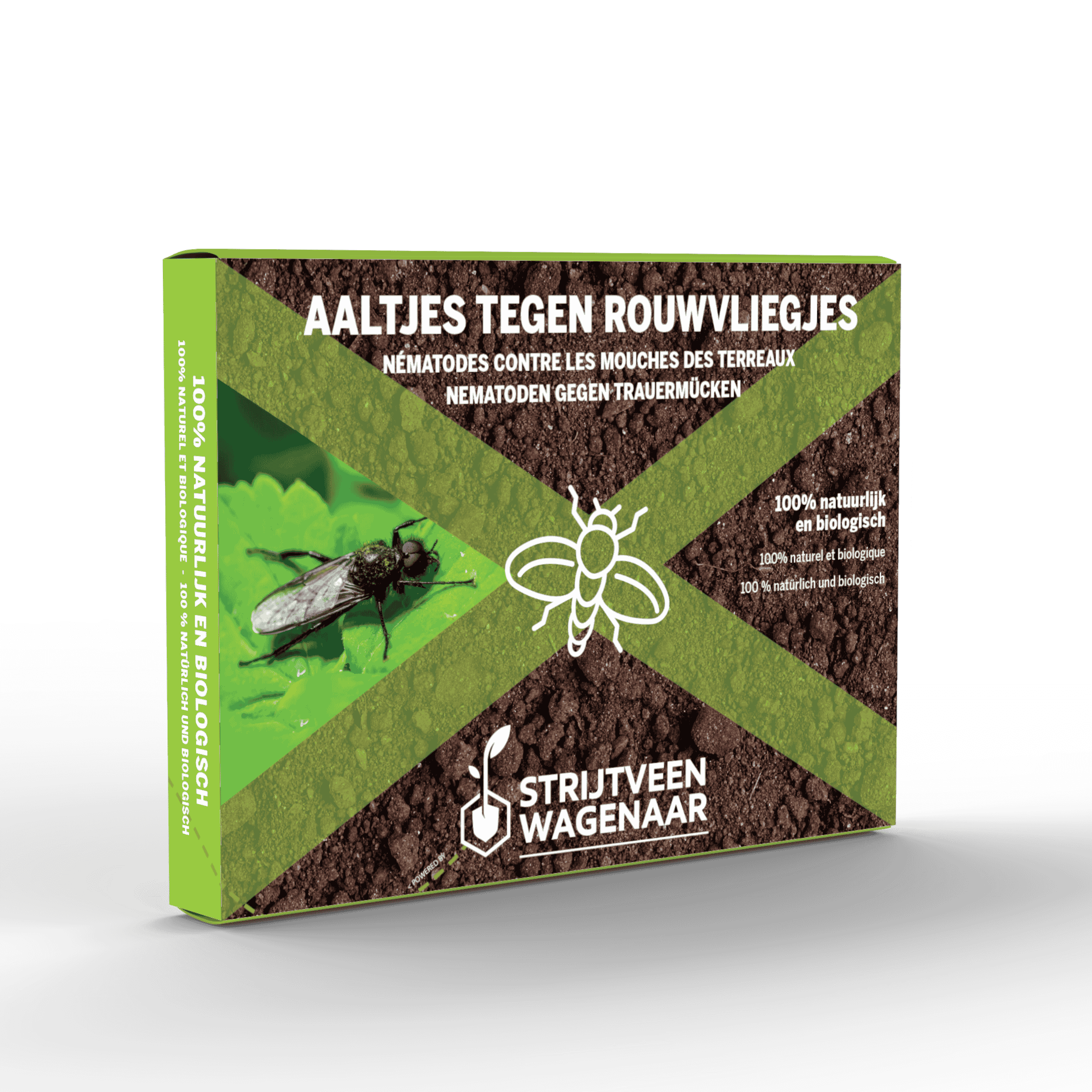Nematoden gegen Trauermücken | Effektiver Zimmerpflanzenschutz