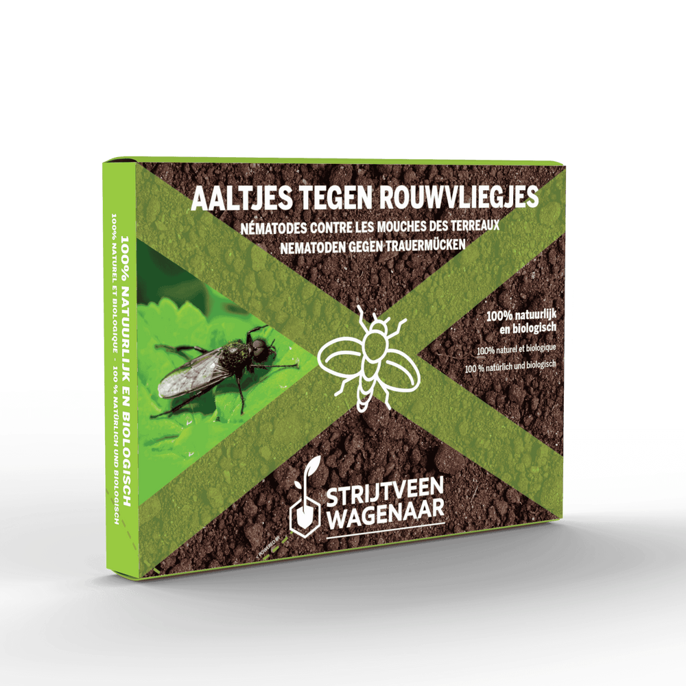 Nematoden gegen Trauermücken | Effektiver Zimmerpflanzenschutz