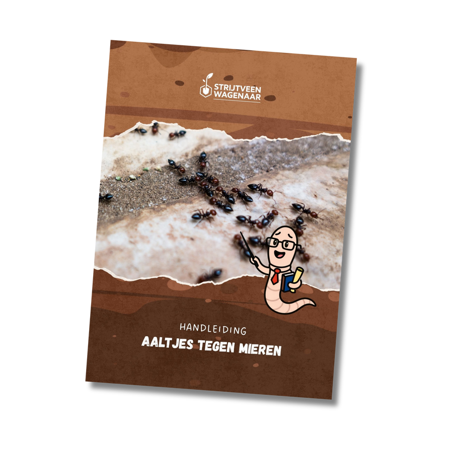 Ameisen