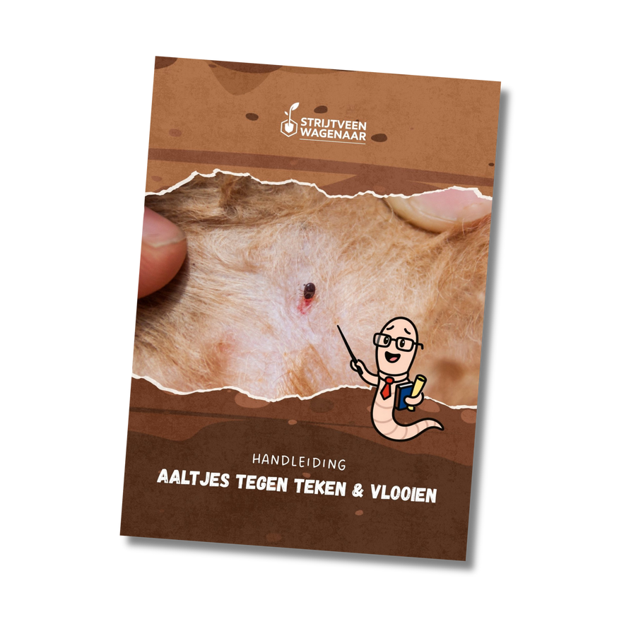 Zecken und Flöhe