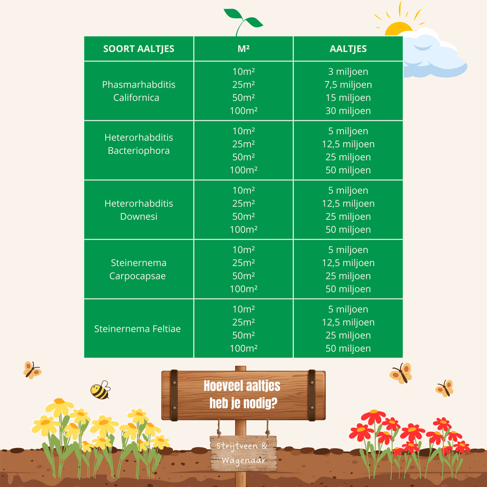 
                      
                        Hoeveelheidaaltjes infographic
                      
                    