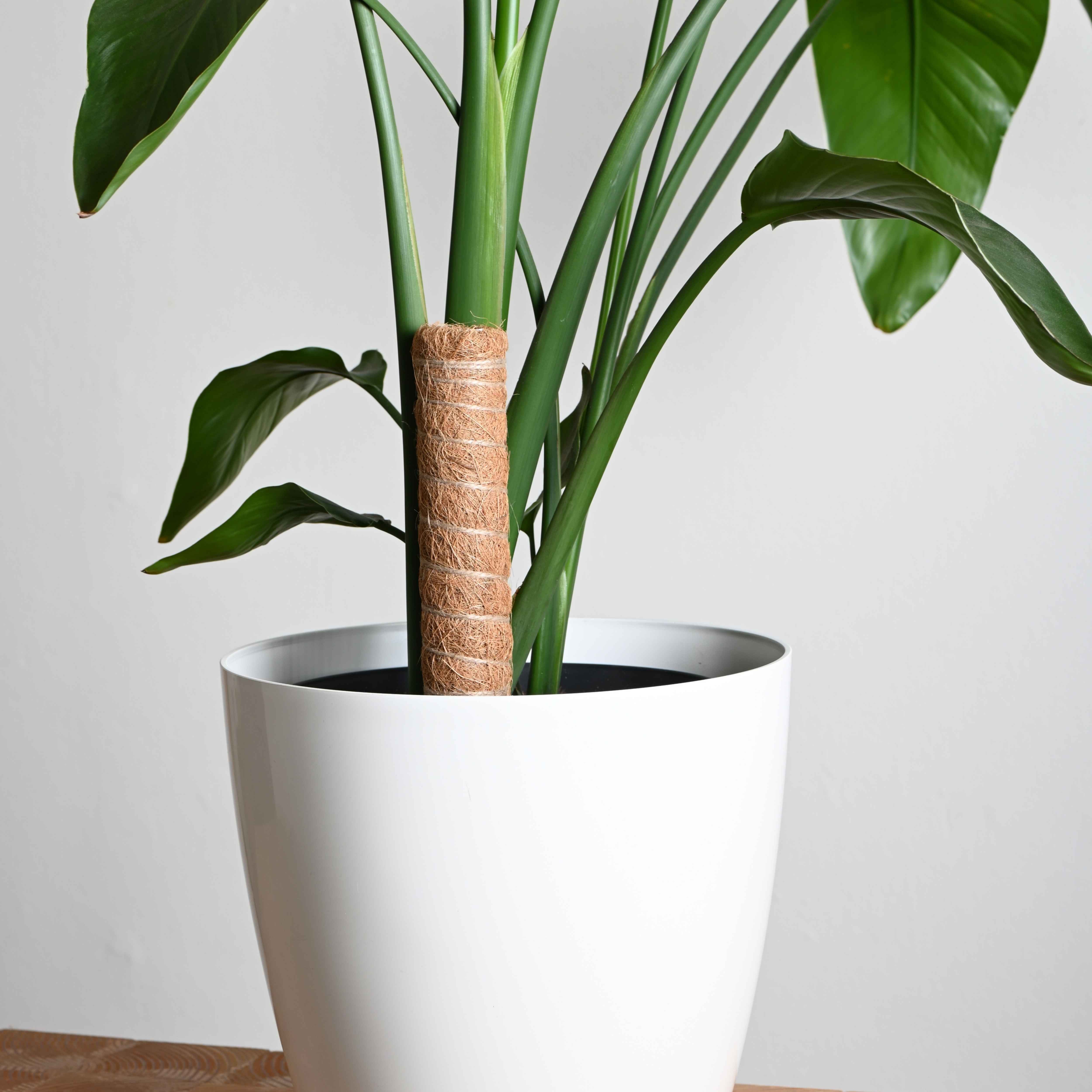 PlantMe