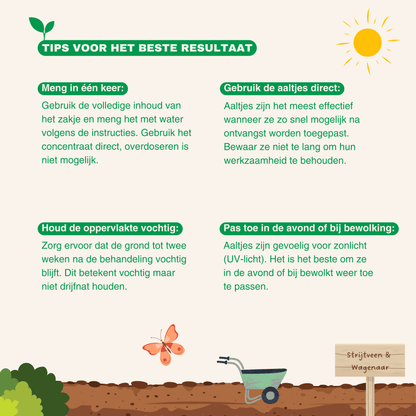 Nematodes against ticks and fleas