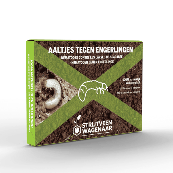 Nematodes against grubs