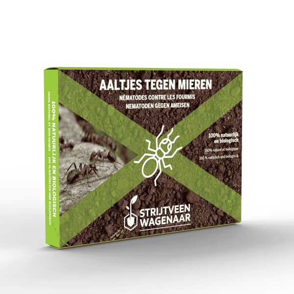 Steinernema Feltiae Nematodes against Ants