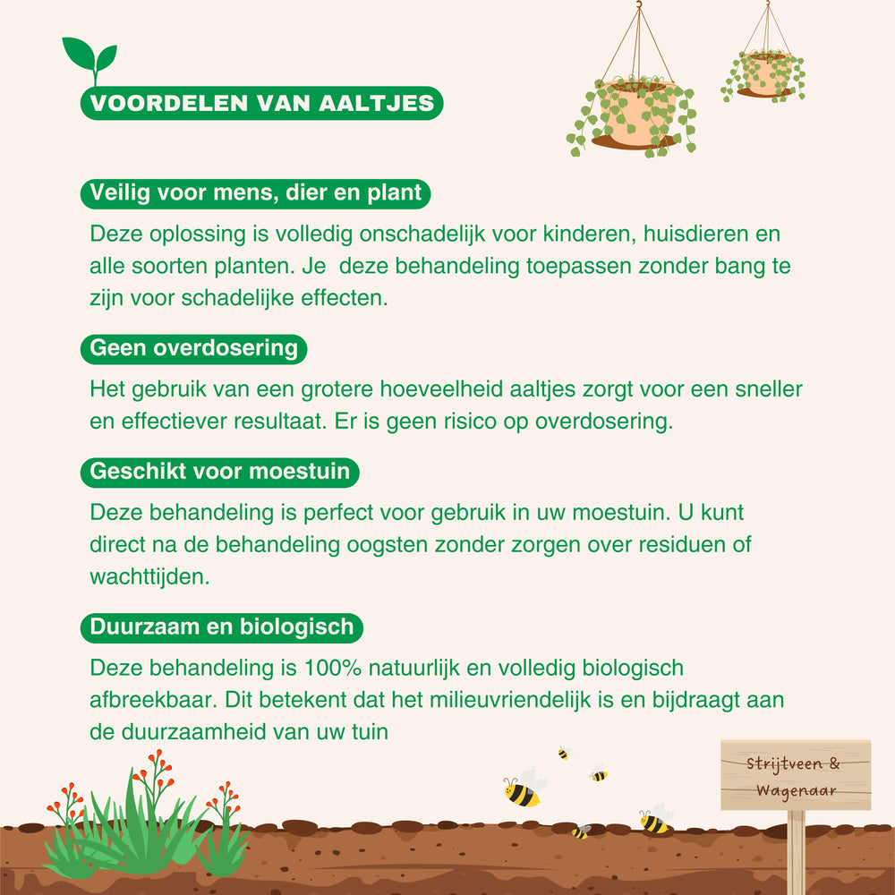 
                      
                        Aaltjes tegen Slakken
                      
                    