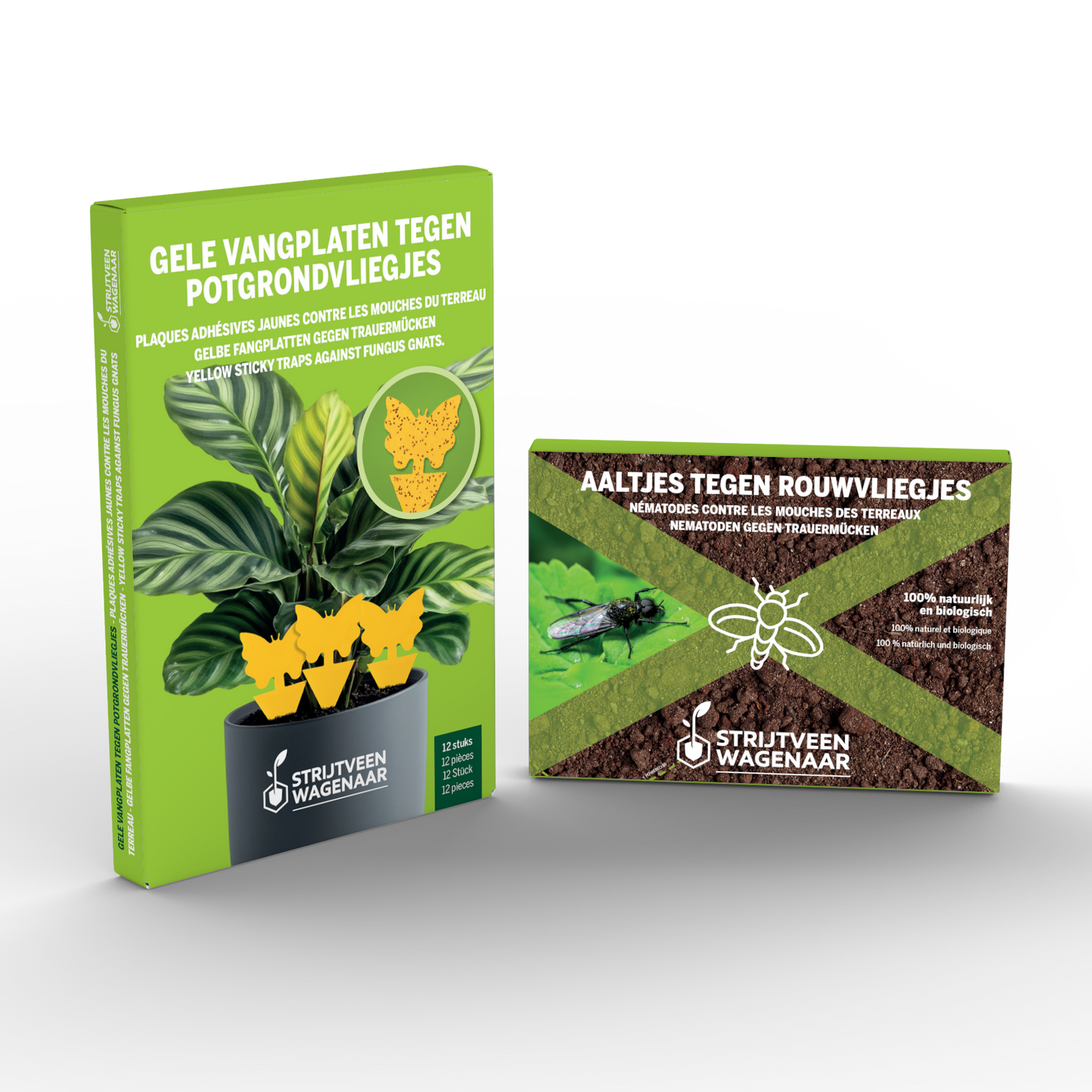 Aaltjes tegen Rouwvliegjes + Gele Vangplaten